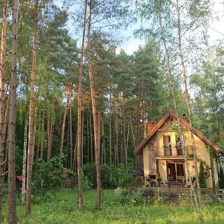 Dom Na Skraju Lasu Villa Wilkasy Luaran gambar